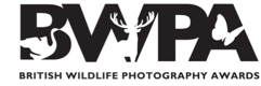 British Wildlife Photographer of the Year